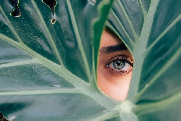 ARE YOU CONNECTED? BEING A PART OF THE UNIVERSE | Truly Connected To The Universe